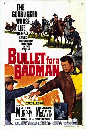 Affiche du film : La patrouille de la violence