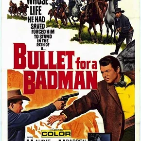 Photo du film : La patrouille de la violence