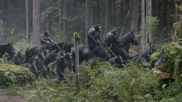 Photo du film : La planète des singes : l'affrontement
