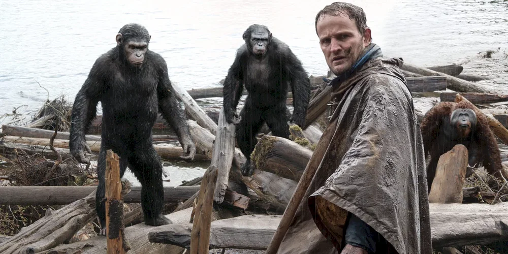 Photo du film : La planète des singes : l'affrontement