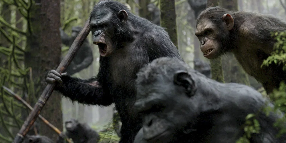 Photo du film : La planète des singes : l'affrontement