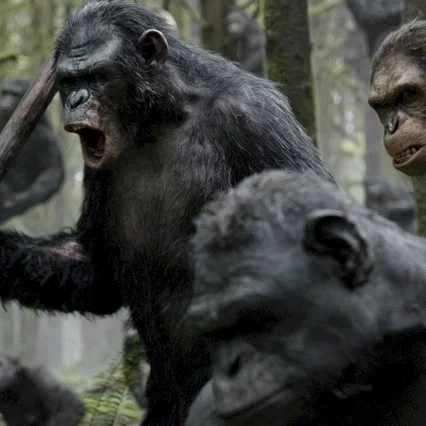 Miniature photo du film : La planète des singes : l'affrontement