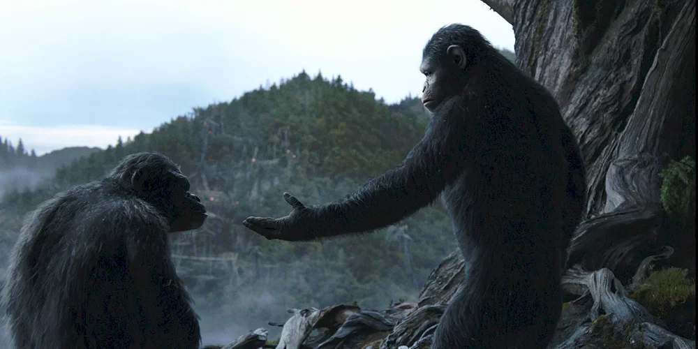Photo du film : La planète des singes : l'affrontement