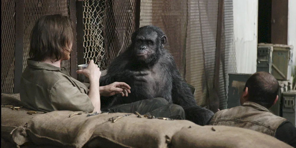 Photo du film : La planète des singes : l'affrontement