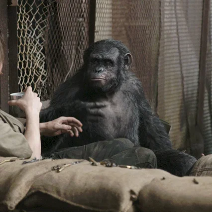 Miniature photo du film : La planète des singes : l'affrontement