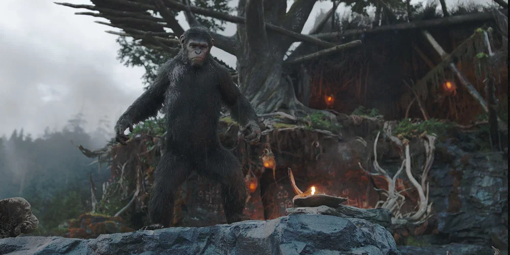 Photo du film : La planète des singes : l'affrontement