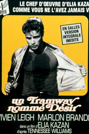 Affiche du film : Un tramway nommé désir