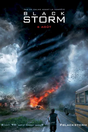 Affiche du film : Black Storm