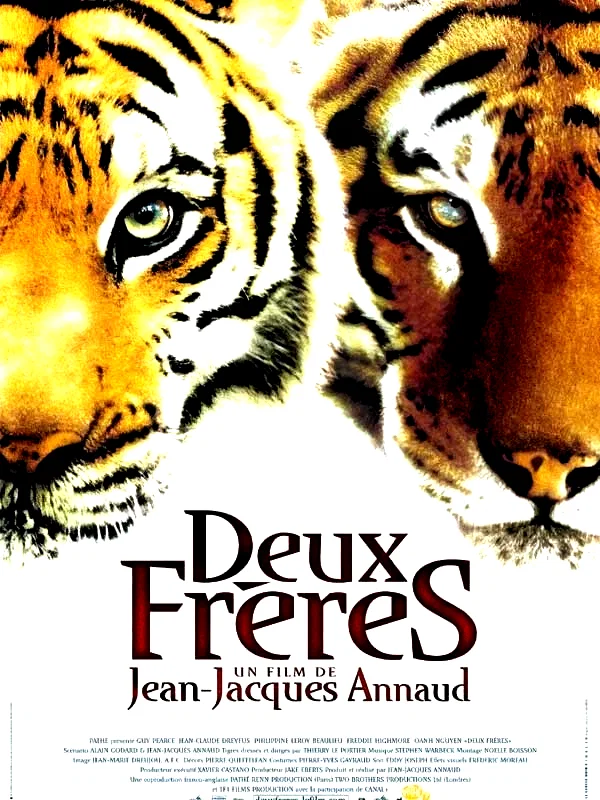 Affiche du film : Deux frères