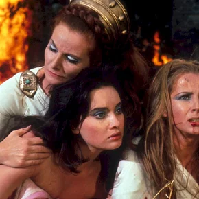 Photo du film : La reine des vikings