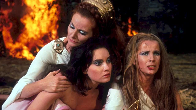 Photo 2 du film : La reine des vikings