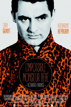 Photo 1 du film : L'impossible monsieur bebe