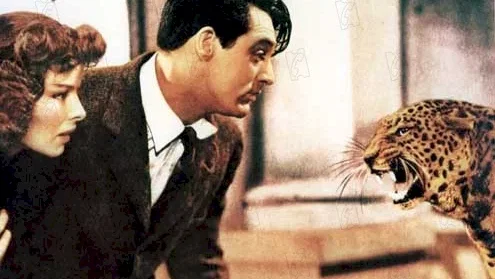 Photo 2 du film : L'impossible monsieur bebe