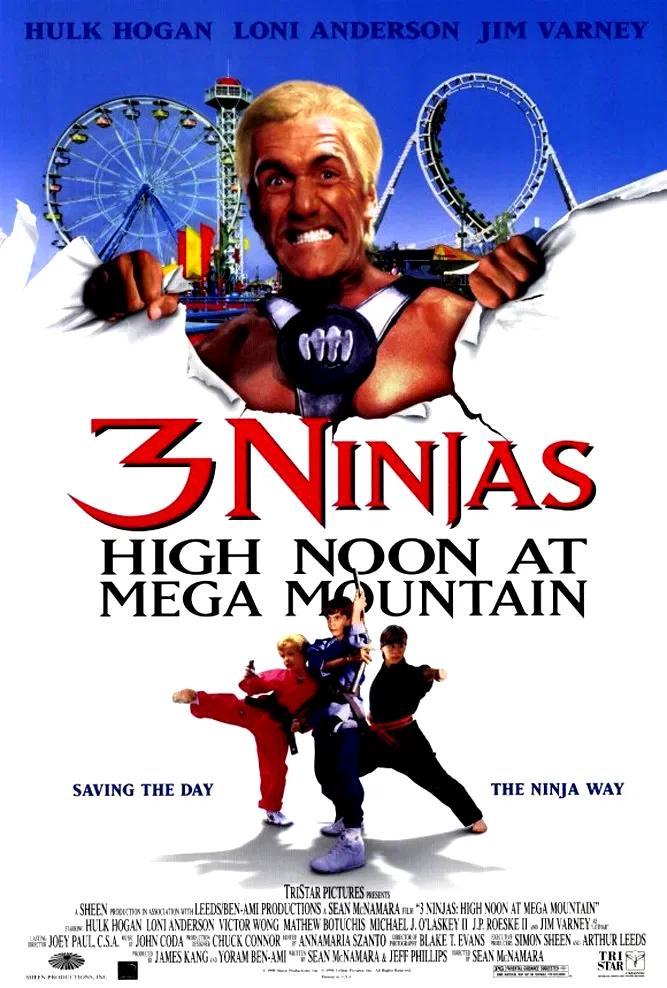 Affiche du film : Les 3 ninjas se dechainent