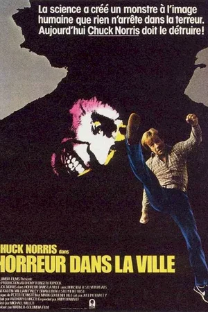 Affiche du film : Horreur dans la ville