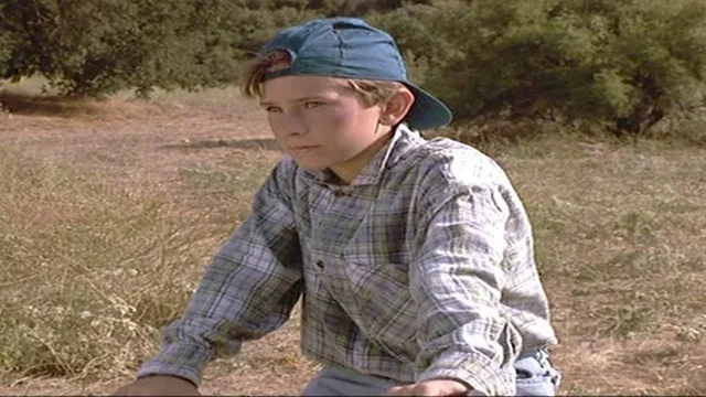 Photo 2 du film : Les 3 ninjas se revoltent
