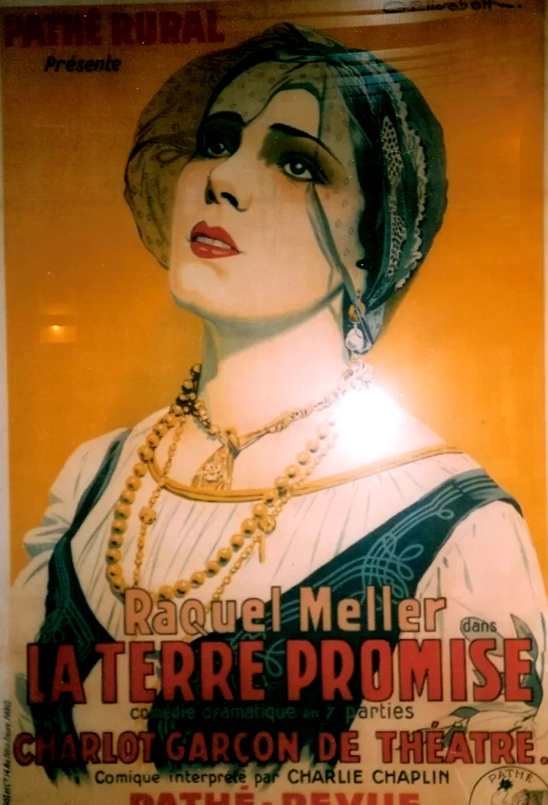 Affiche du film : La terre promise