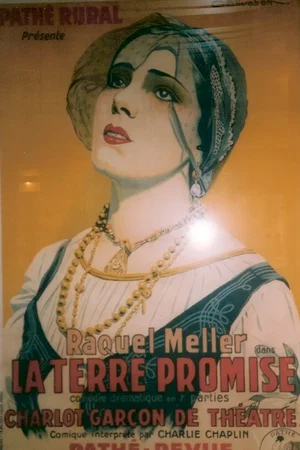 Affiche du film : La terre promise