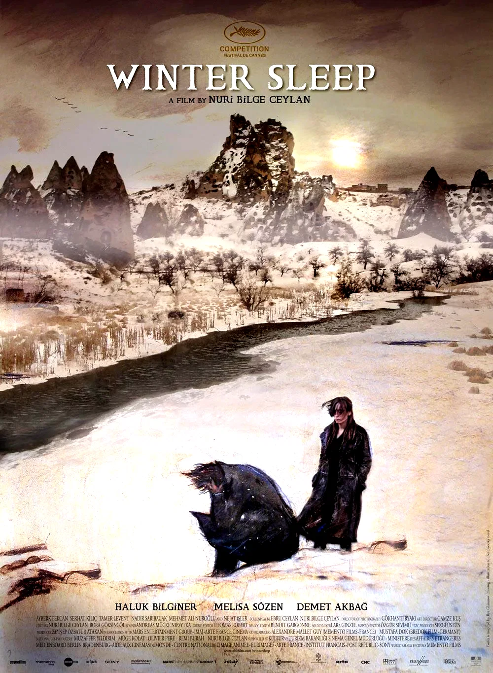 Affiche du film : Winter Sleep
