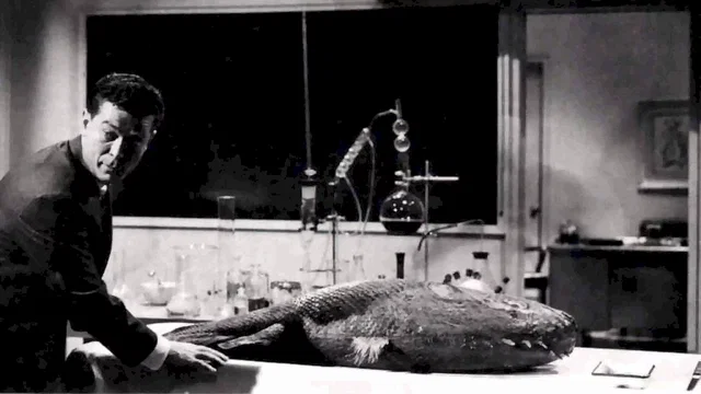 Photo 2 du film : Le monstre des abimes