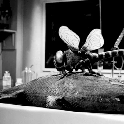 Miniature photo du film : Le monstre des abimes