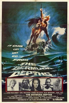 Affiche du film Dans les profondeurs du triangle des Bermudes