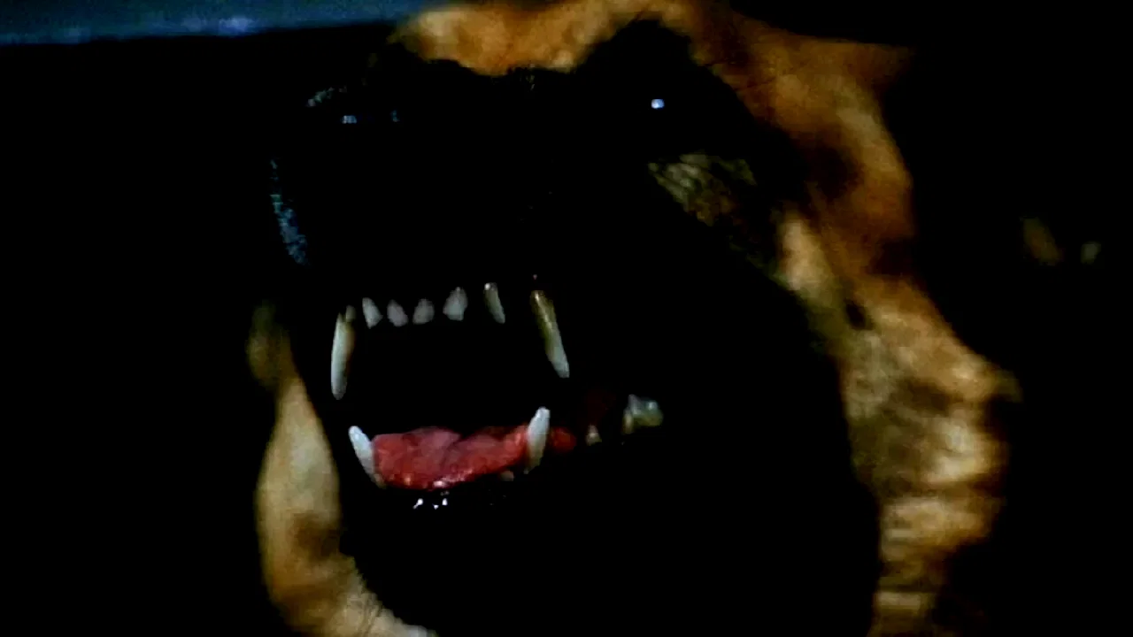 Photo 6 du film : Le couloir de la mort