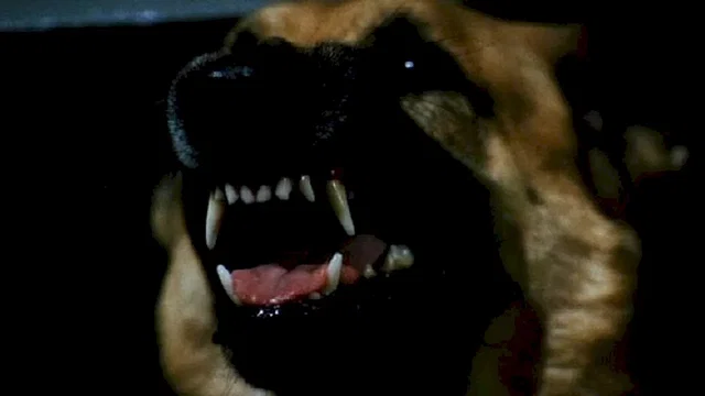 Photo 6 du film : Le couloir de la mort