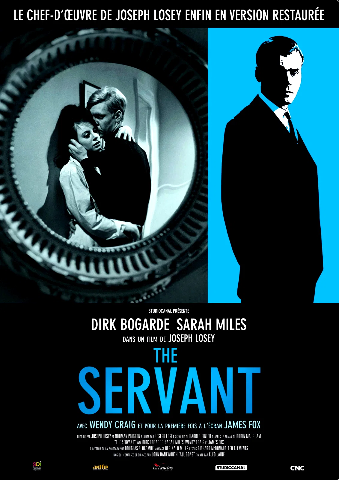 Affiche du film : The servant