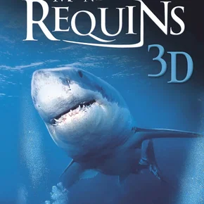 Photo du film : Le monde des requins