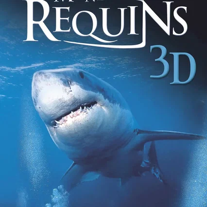 Miniature photo du film : Le monde des requins