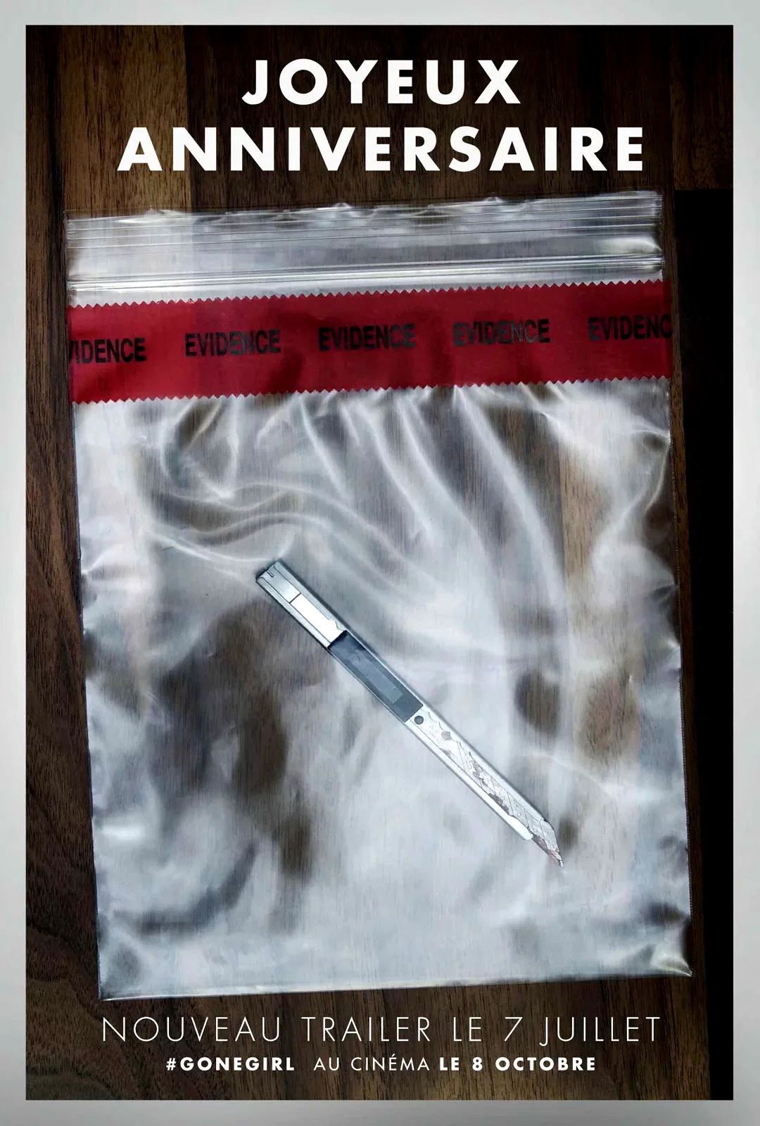Photo du film : Gone Girl