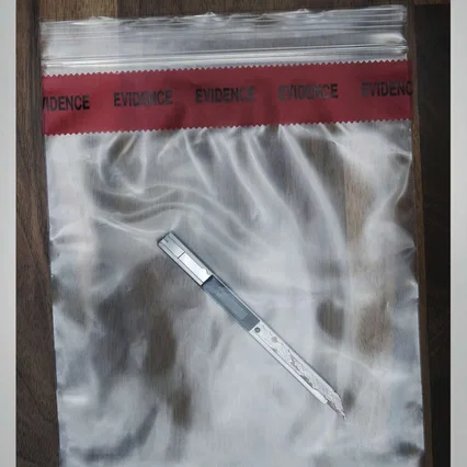 Miniature photo du film : Gone Girl