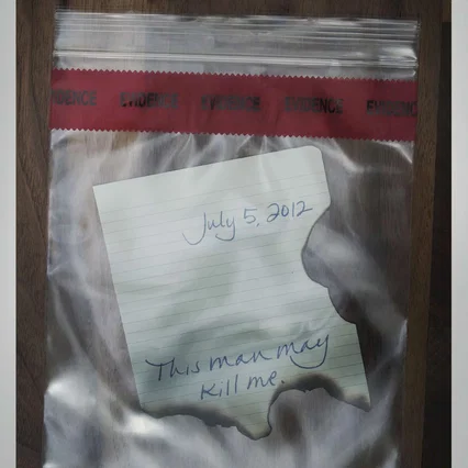 Miniature photo du film : Gone Girl
