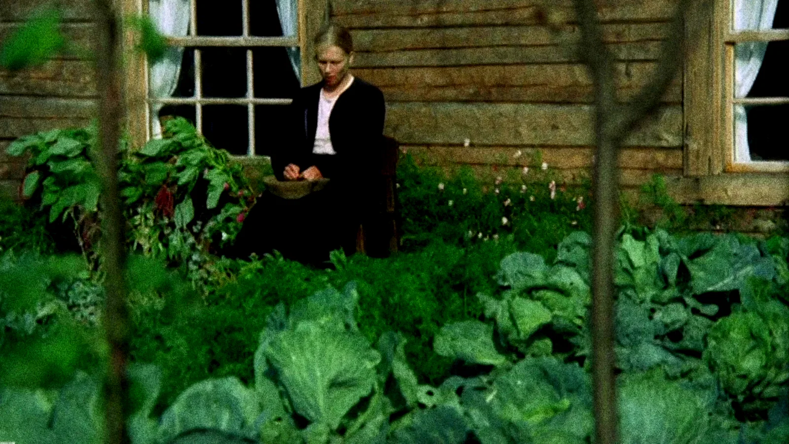 Photo 3 du film : Les émigrants