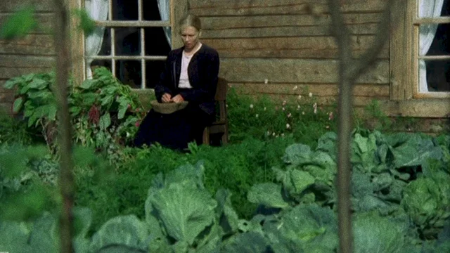 Photo du film : Les émigrants