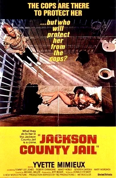 Affiche du film : La prison du viol