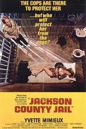 Affiche du film : La prison du viol