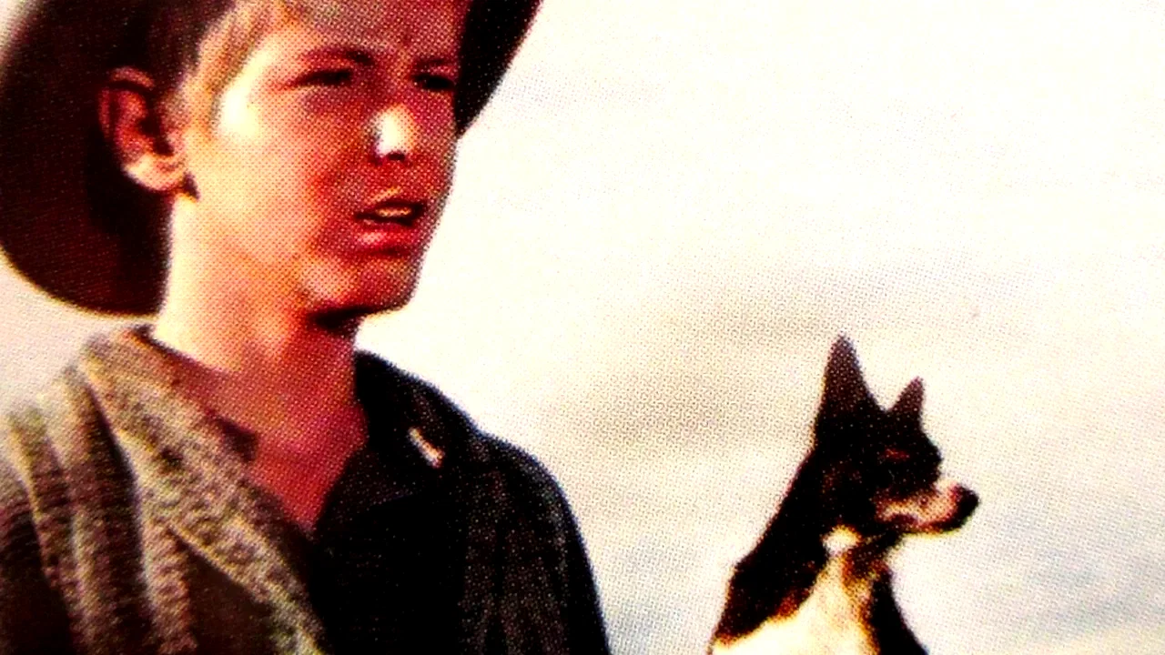 Photo 2 du film : Le fier rebelle