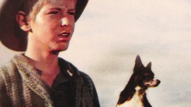 Photo 2 du film : Le fier rebelle