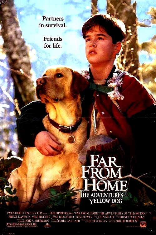 Affiche du film : Loin de la maison