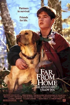 Affiche du film Loin de la maison