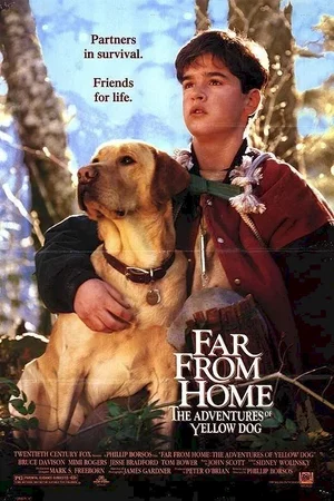 Affiche du film : Loin de la maison