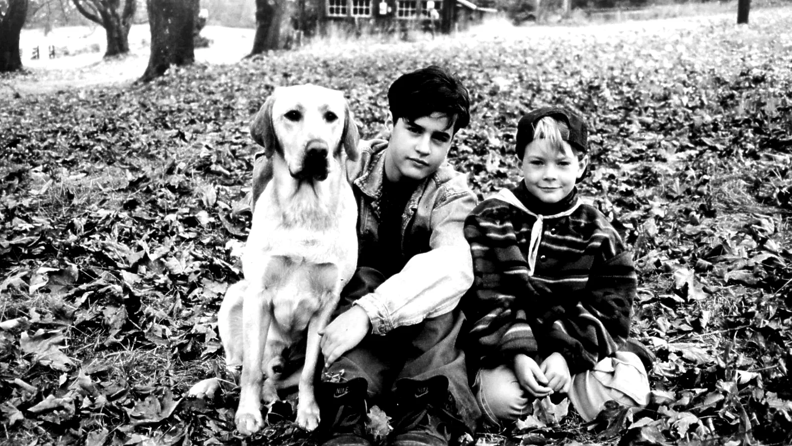 Photo 2 du film : Loin de la maison