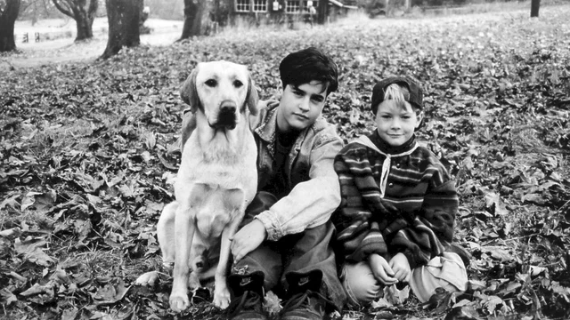 Photo du film : Loin de la maison