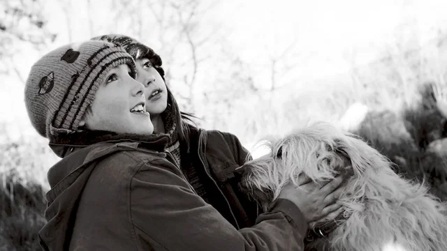Photo 6 du film : Irina, la mallette rouge