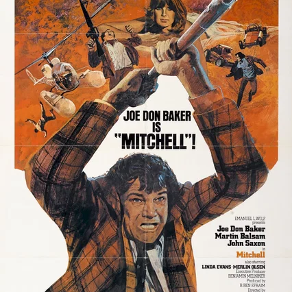 Miniature photo du film : Liquidez l'inspecteur mitchell