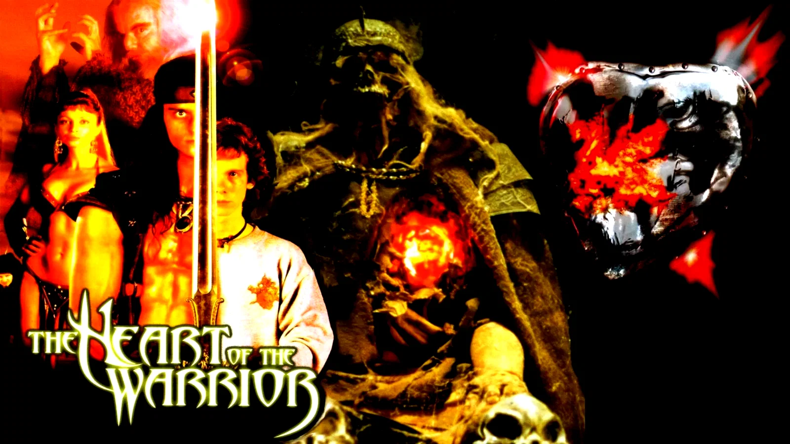 Affiche du film : The heart of the warrior