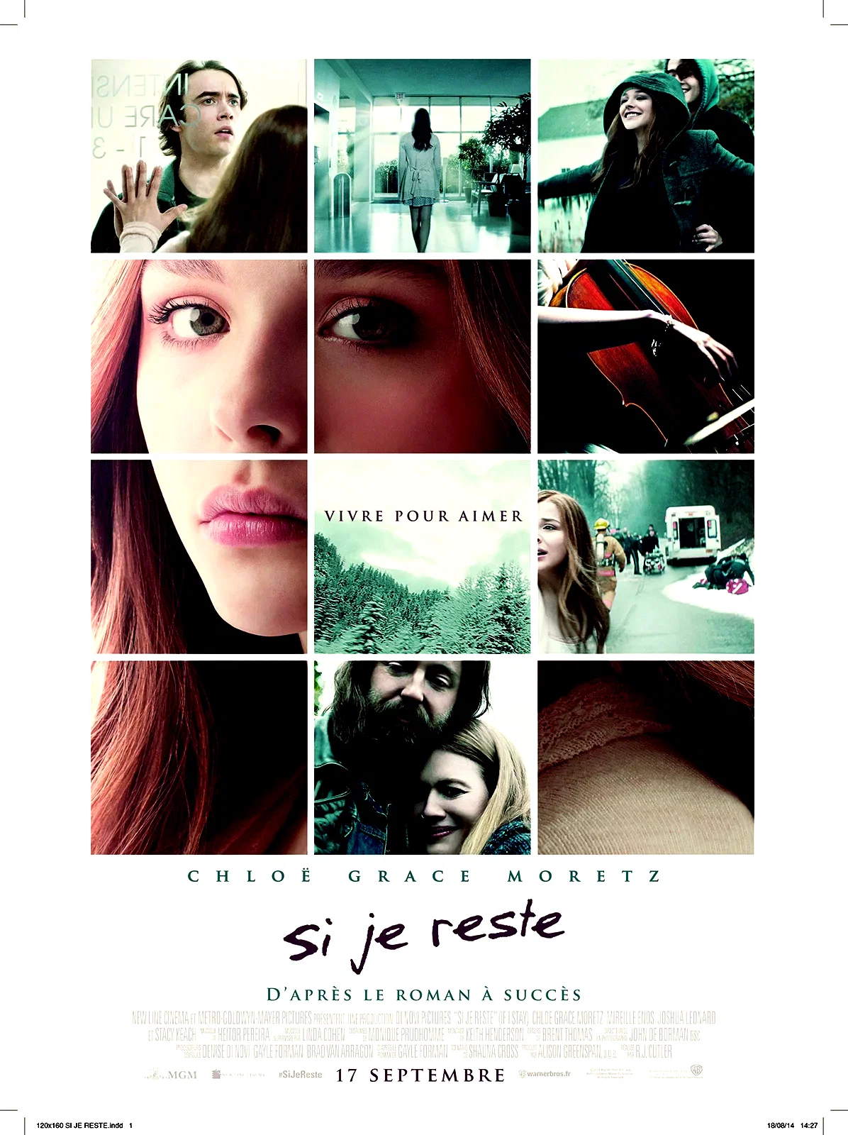 Affiche du film : Si je reste
