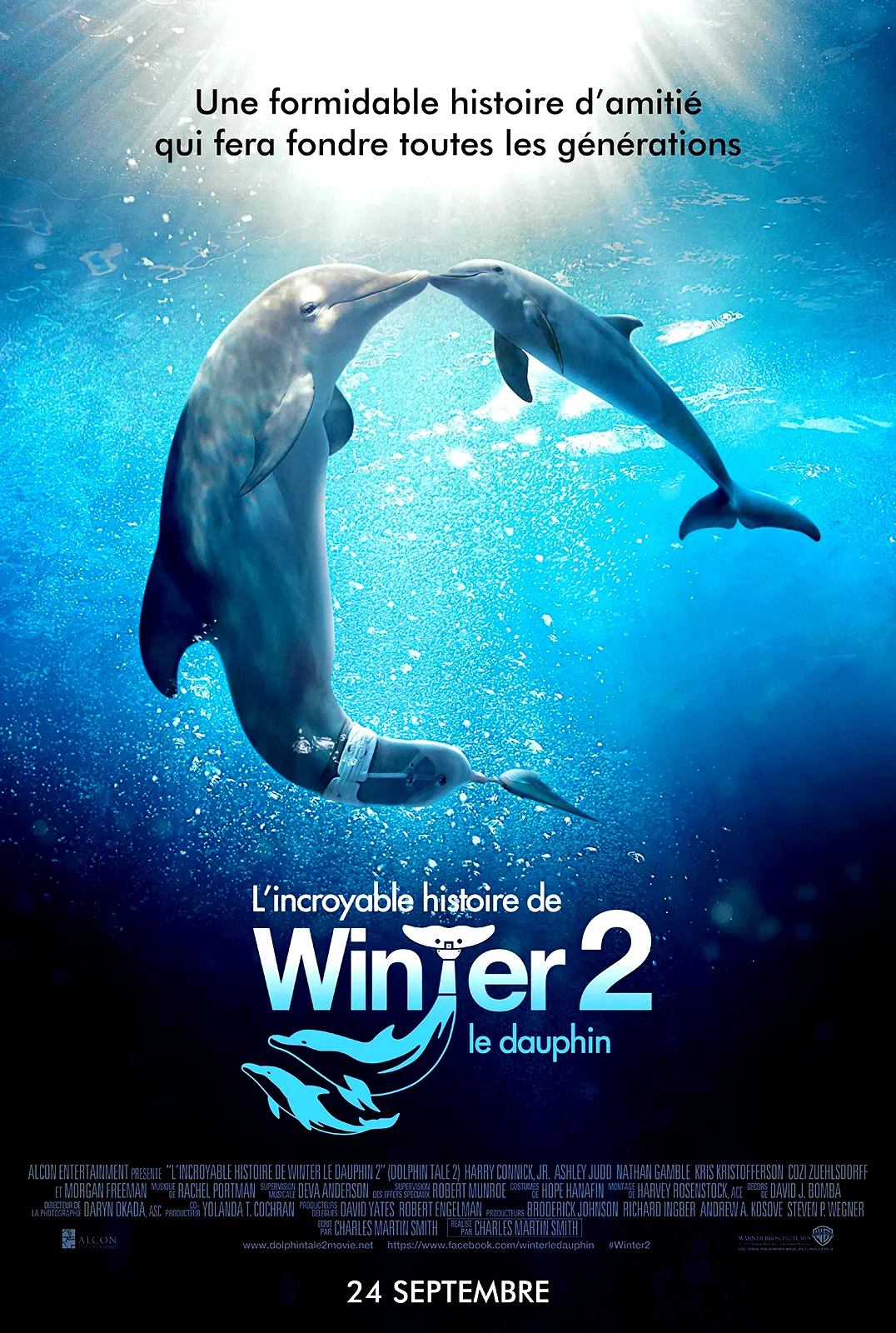 Affiche du film : L'Incroyable Histoire de Winter le dauphin 2 